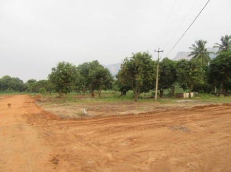 10) Low Budget Houses for Sale Near Chandragiri.JPG